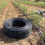 81ebGWYrDnL._AC_UF350,350_QL80_